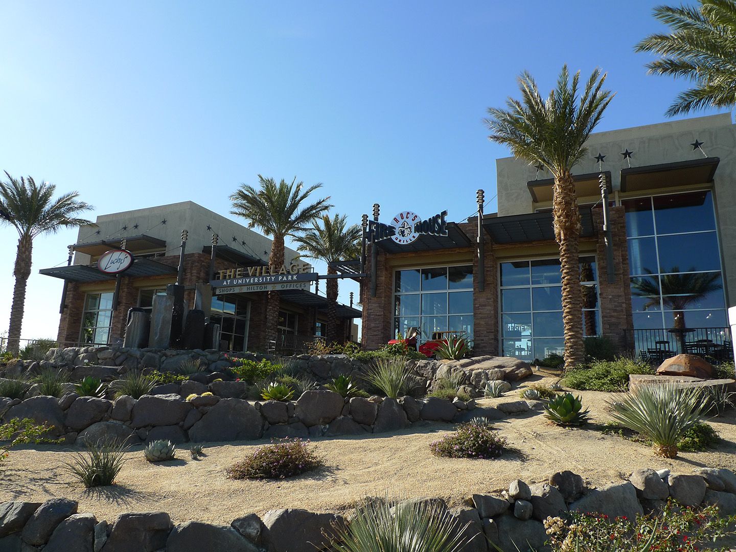 construction expert witness Texas