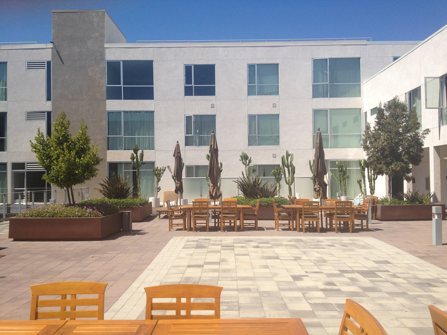 School construction expert witness